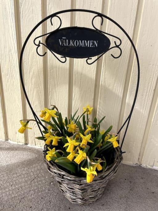 Gamleby  Patterdale Farm Holiday Apartments מראה חיצוני תמונה
